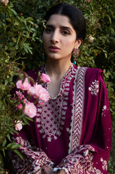 Afreen (ZW24-12)
